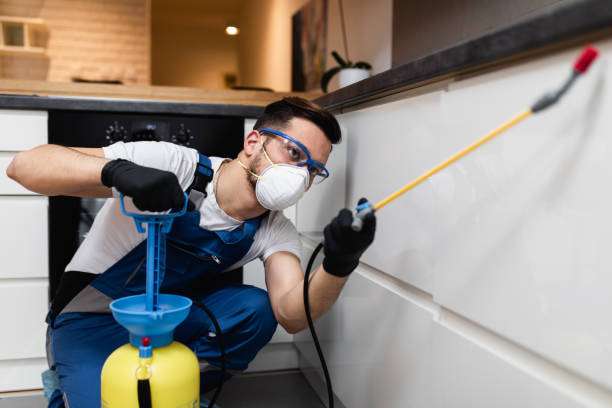 Best Rat Extermination Near Me  in Squaw Valley, CA