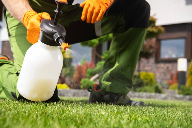Best Rodent Control Near Me  in Squaw Valley, CA