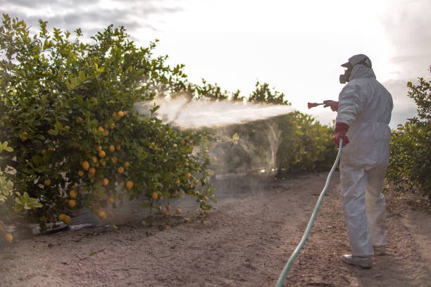 Best Pest Inspection Near Me  in Squaw Valley, CA