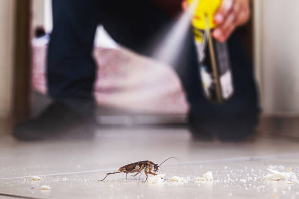 Trusted Squaw Valley, CA Pest Control Experts