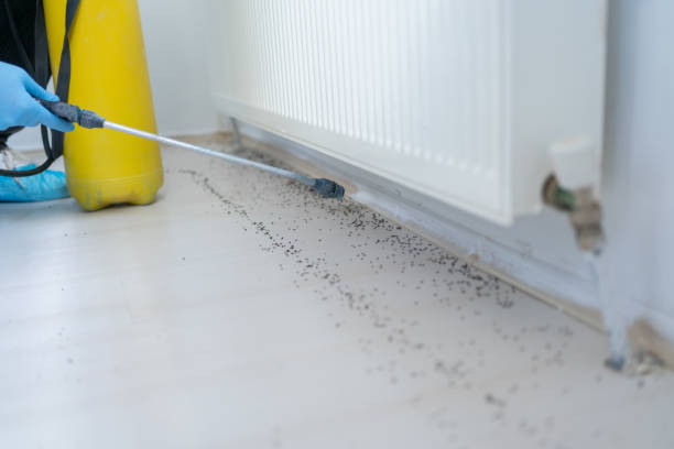 Best Pest Control Cost  in Squaw Valley, CA